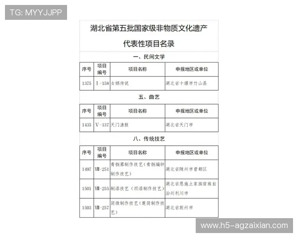 提升AG体育电子游艺游戏体验的实用技巧与常见问题解决方案